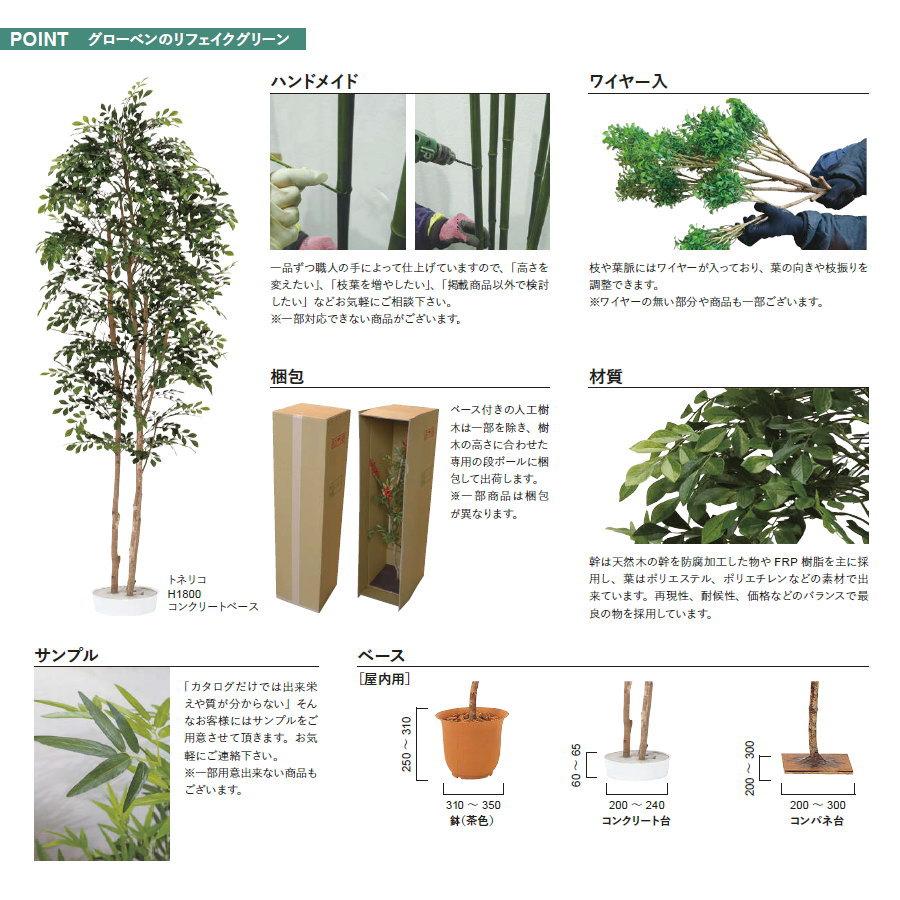 人工植物   グローベン  リフェイクグリーン   黒竹（5本立）　H1800   竹/竹リーフ・屋内用   A70NT028   完成品の画像