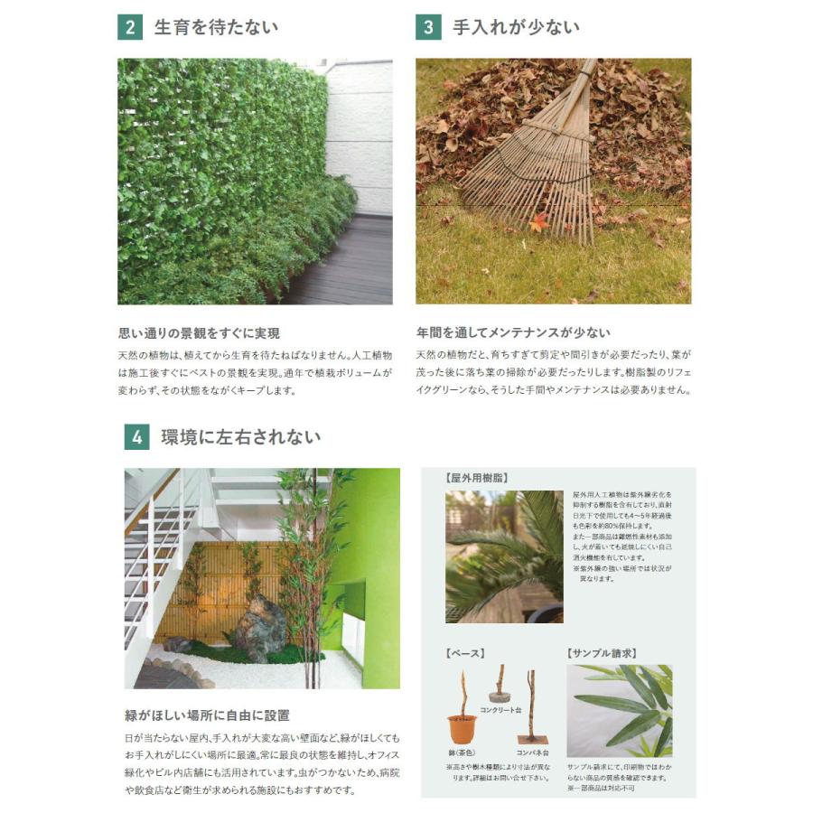 人工植物   グローベン  リフェイクグリーン   黒竹（5本立）　H1800   竹/竹リーフ・屋内用   A70NT028   完成品の画像