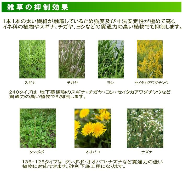 【無料★特典対象】 防草シート グリーンフィールド ザバーン防草シート240 2M×30M グリーン プロが選ぶ高品質 雑草対策 防草対策 除草 草取り デュポン_3