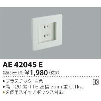 コイズミ照明 KOIZUMI   保安灯ナイトライトオプション専用コンセント  AE42045E 白色｜ex-gstyle｜04