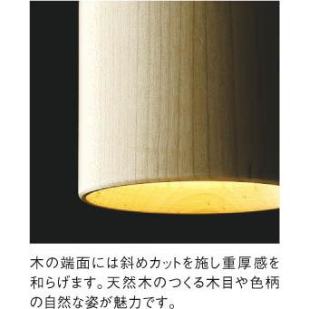 照明 おしゃれ コイズミ照明 KOIZUMI ペンダントライト AP57306