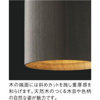 照明 おしゃれ コイズミ照明 KOIZUMI ペンダントライト AP57309 ダクト