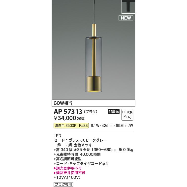 照明 おしゃれ コイズミ照明 KOIZUMI ペンダントライト AP57313 ダクト