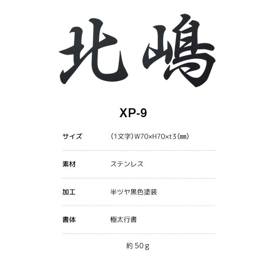 ステンレス切文字表札 美濃クラフト プリモ XP-9 半ツヤ黒色塗装 漢字2