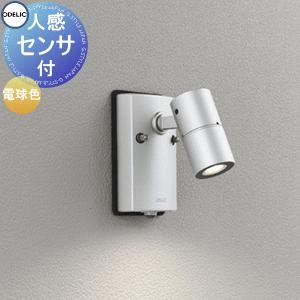 エクステリア 屋外 照明 ライト オーデリックODELIC スポット