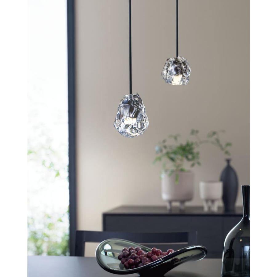 買い誠実 OP252546LR オーデリック レール用ペンダントライト LED 電球