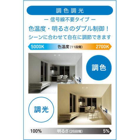 照明 おしゃれ かわいい 屋内 大光電機 DAIKO 調色調光ダウンライト