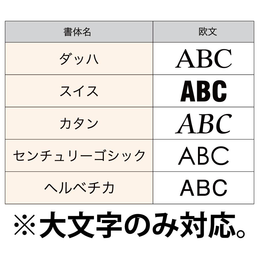 表札 オンリーワンクラブ アドバンス W600 ストレート MY1-4661 戸建て