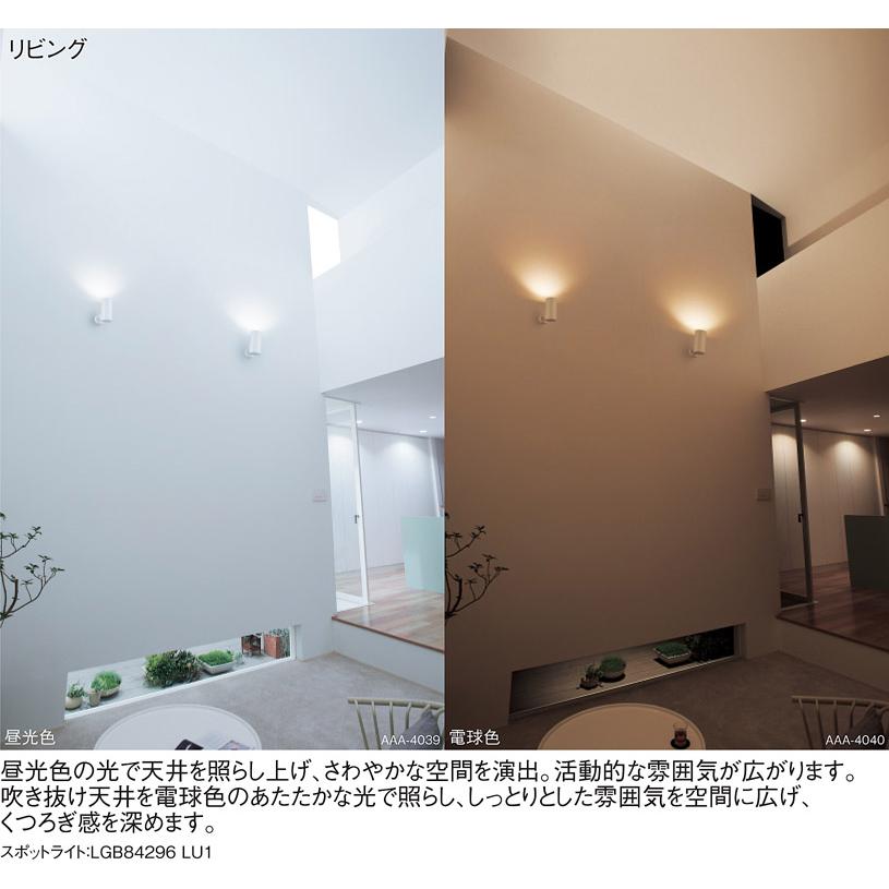 Panasonic LEDスポット ダウンライト 125 シンクロ調光調色 集光 シンクロ調色｜ダウンライト｜住宅用照明器具 | Panasonic