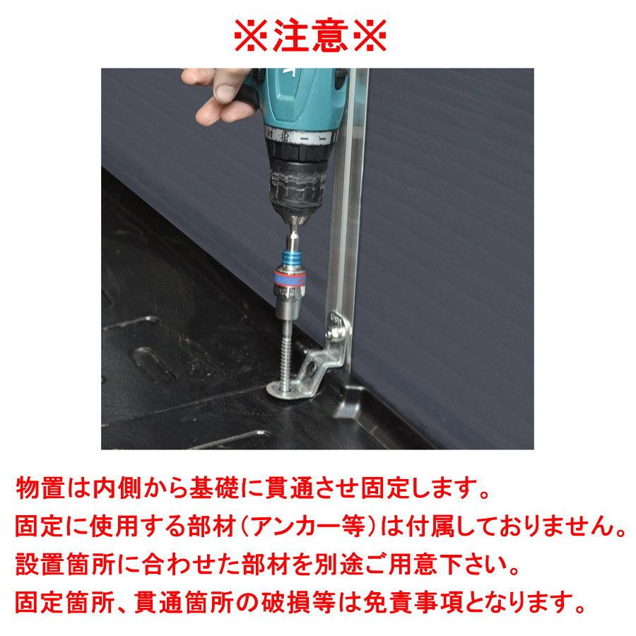 【無料★特典対象】 物置 収納庫 パルラム社（Palram） カノピア（Canopia） ルビコン（Rubicon） 6×10 幅185cm×奥行303cm 組立式 小屋 多機能 耐久_9