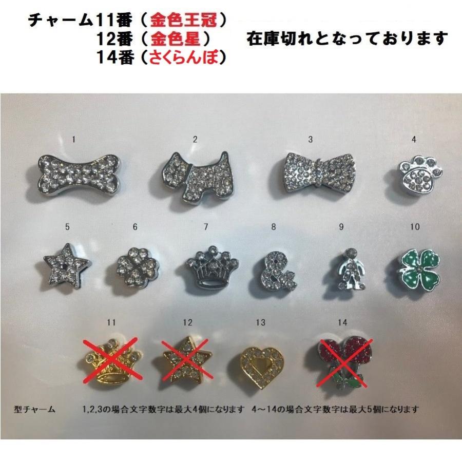 犬用首輪 名前入り首輪 キラキラ 型押し 犬猫 選べる色文字 犬用首輪 名前入り首輪 キラキラ 型押し 犬猫 選べる色文字
