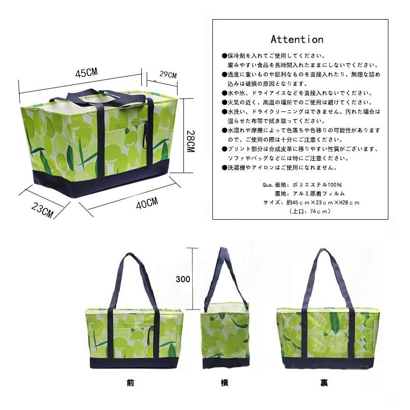 エコバック レジカゴバッグ 保冷 保温 折りたたみ コンパクト エコバック レジカゴバッグ 保冷 保温 折りたたみ コンパクト