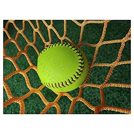 人気絶頂 Backstop, Net Softball 【並行輸入品】特別価格　Nylon Tennis Nets Goal Soccer Baseball Ball Stop Net その他アイスホッケー用品