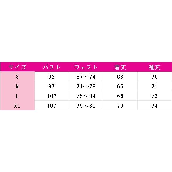 初音ミク　ポケモンコラボ　第11弾　コスプレ衣装_2