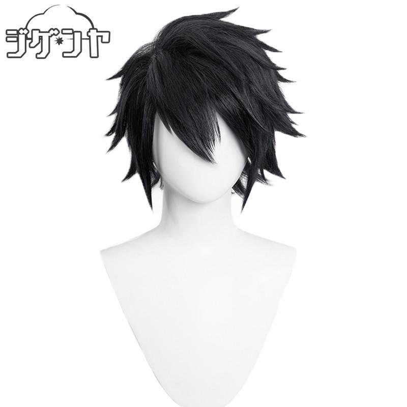 デスノート DEATH NOTE エル＝ローライト L Lawliet ウィッグ かつら
