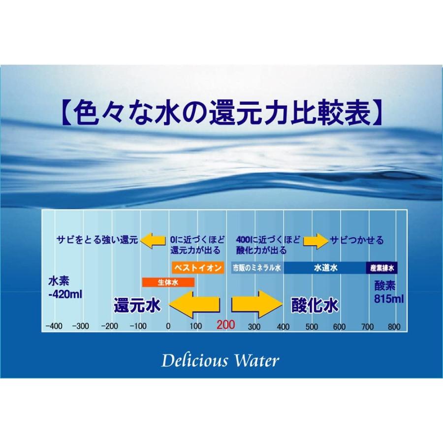 楽天カード分割 ベストイオン ポット 水道水をミネラル還元水に 浄水機能付き ベストイオンポット 白 Biw00 新発 Atempletonphoto Com