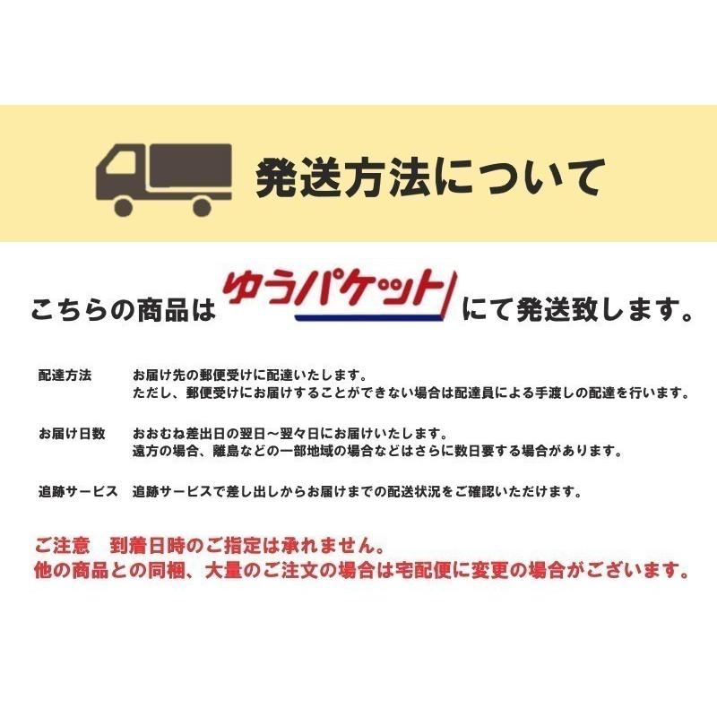 アウトレット 訳あり特価 井村屋 38g 10個 カカオ 新作送料無料 スポーツようかん