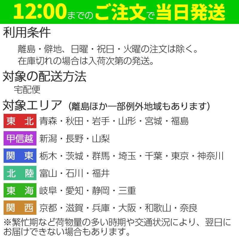 【5本セット】洗車用品 業務用 水垢除去剤 400ml×5本 淡色車専用 中性タイプ 水垢 ウロコ ドア傷 小傷 コンパウンド 洗浄｜excelcoat｜10