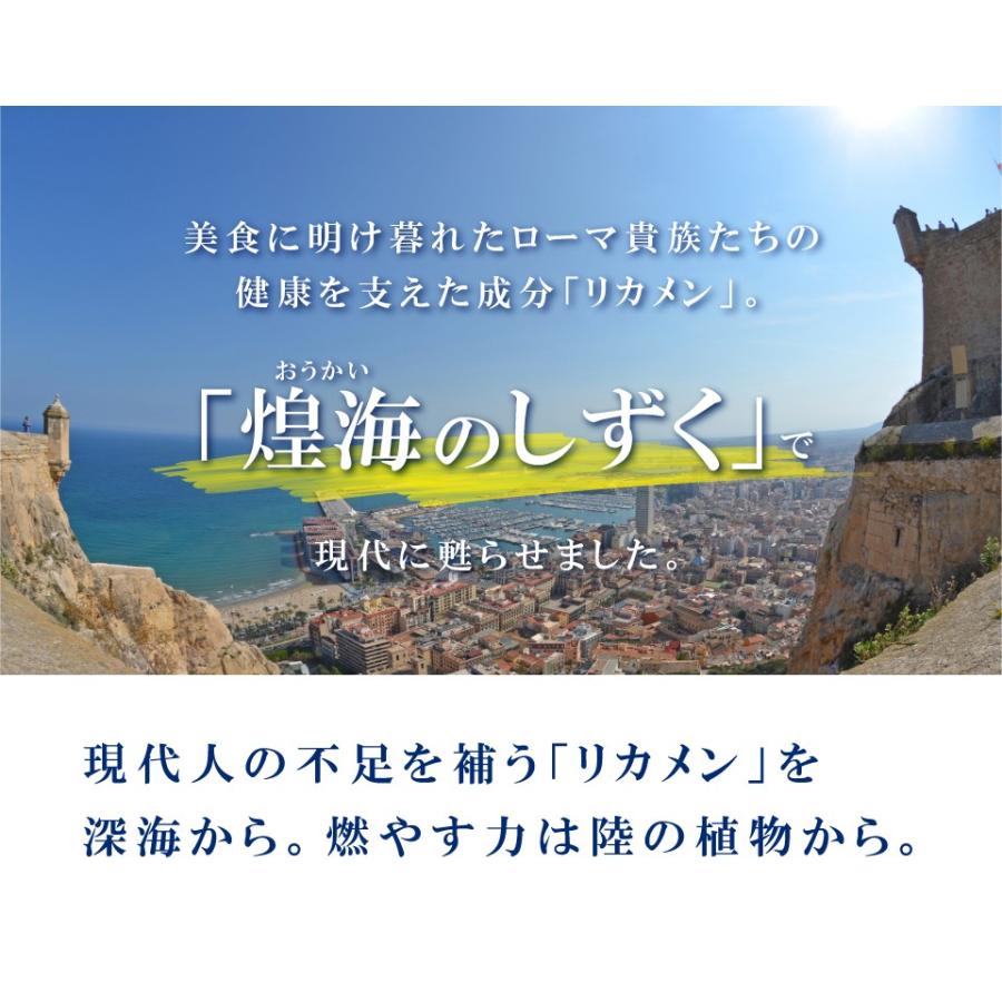 煌海のしずく リカメン DHA EPA ビタミンE ペプチド アミノ酸 L