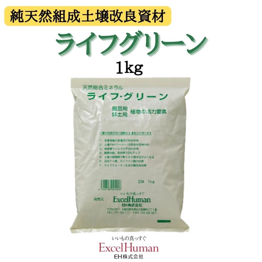エクセルヒューマン　活性水素水生成器　マグネシウム合金版、洗浄剤付き エクセルヒューマン 活性水素水生成器 マグネシウム合金版、洗浄剤付き