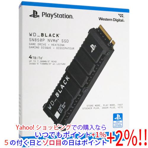 Western Digital（ウエスタンデジタル） Western Digital製 SSD