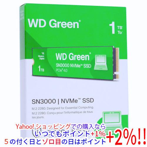 Western Digital製 SSD WD Green SN3000 NVMe WDS100T4G0E 1TB