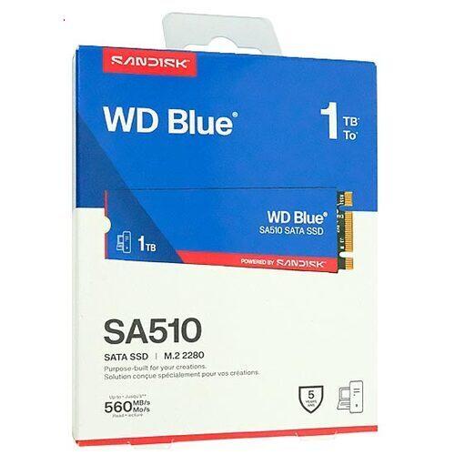 SanDisk（サンディスク） Sandisk SSD WD Blue SA510 SATA WDS100T3B0B