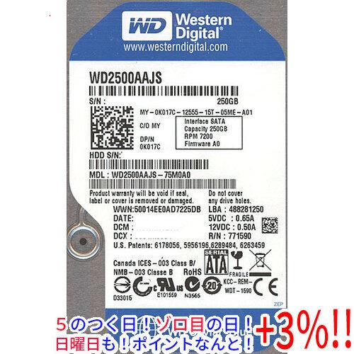 激安正規 着後レビューで 送料無料 Western Digital製HDD WD2500AAJS 250GB SATA300 7200 flyingjeep.jp flyingjeep.jp