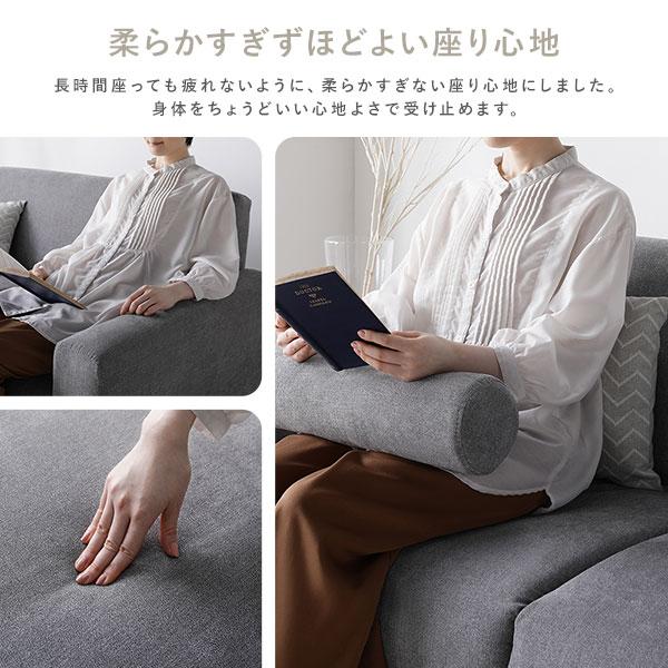 RASIK（ラシク） ida インテリアソファ 2.5人掛 単品（グレージュ