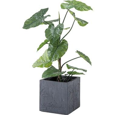 フェイクグリーン クワズイモ Grn 16 インテリアグリーン 造花 植木鉢 鉢植え アローカシア 熱帯 人工観葉植物 人工樹木 花材 植物 装飾 インテリア Grn 16 Essence 通販 Yahoo ショッピング