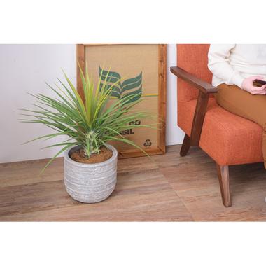 グリーンベース Grnb 3 植木鉢 6号用 水抜き穴あり 丸型 鉢カバー プランター 屋外屋内兼用 ガーデン用品 ガーデニング インテリア おしゃれ Grnb 3 Essence 通販 Yahoo ショッピング