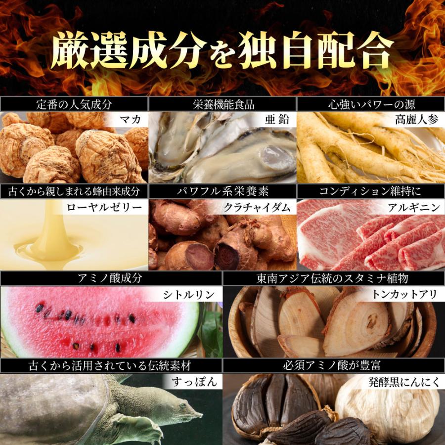 COCOLAB マカ 亜鉛 サプリ マカ 120000mg 亜鉛 450mg(15mg/日) トン