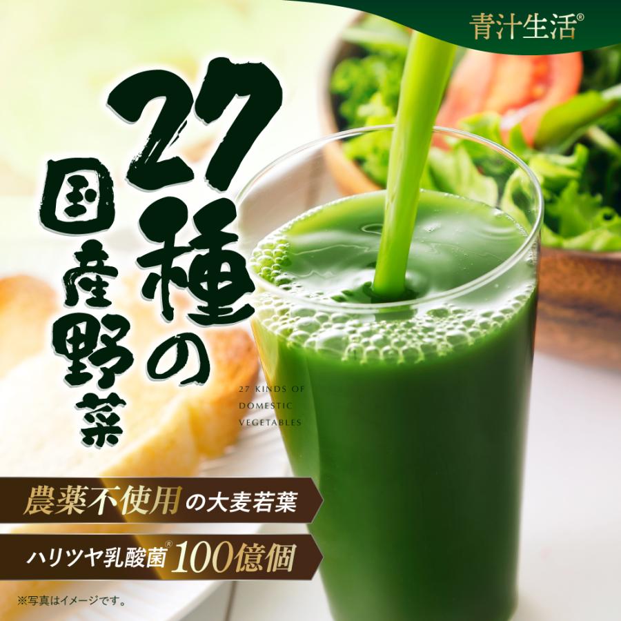 【掲載終了間近！】エナジー青汁 大麦若葉・高麗人参・乳酸菌配合 30本×24箱 匿名配送 エナジー青汁 大麦若葉・高麗人参・乳酸菌100億個配合 30本