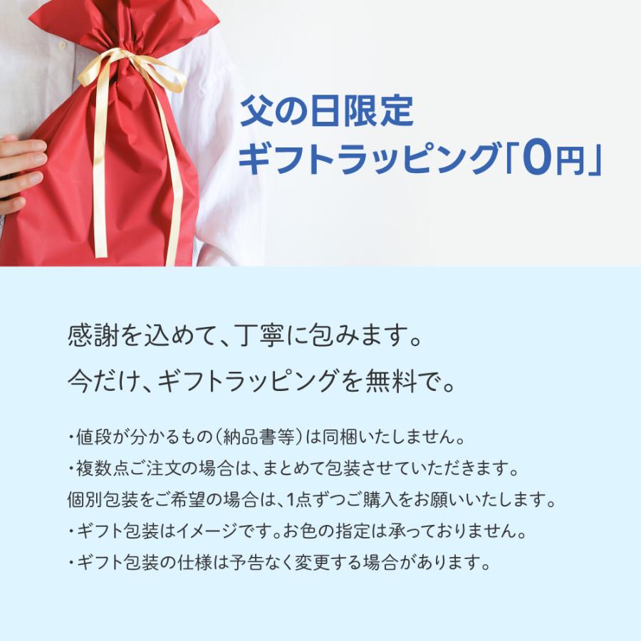 EXCITECH (父の日クーポン配布中) ネッククーラー ペルチェ素子 (-15