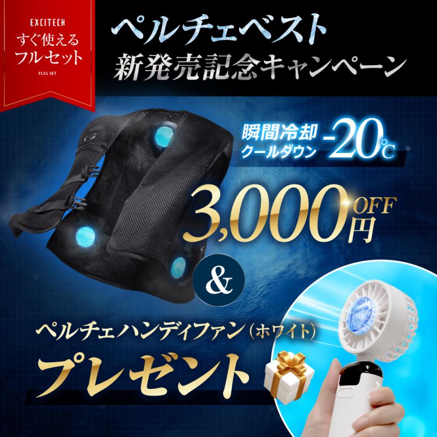 EXCITECH 2025年最新モデル ペルチェ ベスト (日本企業企画