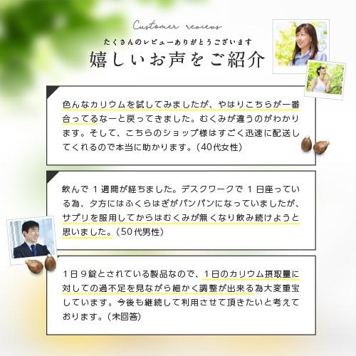 レビューでもう一袋プレゼント Purelab カリウムサプリメント 塩化カリウム1170mg 栄養機能食品ビタミンb1 B2 B6 ポリフェノール クエン酸 日本製 Karium 001 いいねonline 健康 美容 研究所 通販 Yahoo ショッピング