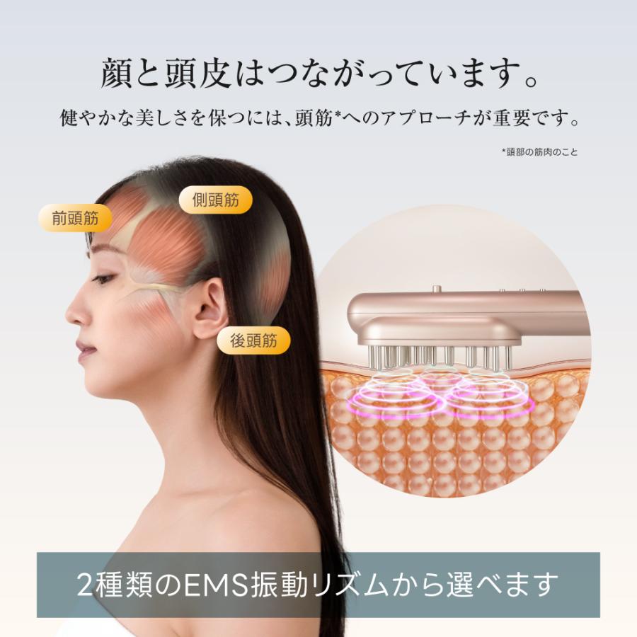 RELX (母の日クーポン配布中) EMS 電気ブラシ 美顔器 (日本企業企画
