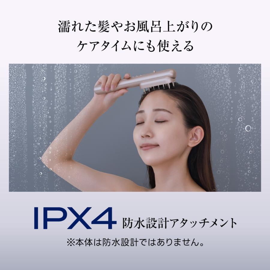 RELX EMS 電気ブラシ 美顔器 (日本企業企画) 頭皮ブラシ リフトブラシ