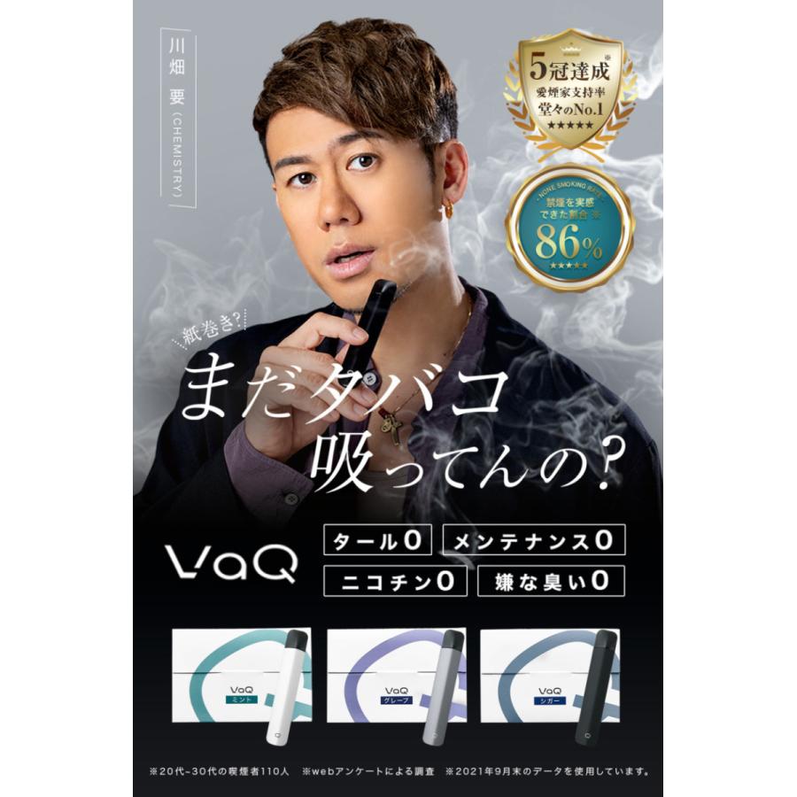 割引発見 Vape Pod 電子タバコ 公式 Vaq ベイプ Vaq ベイク 禁煙 電子煙草 ニコチン0 タール 小型 スリム コンパクト おすすめ シーシャ カードリッジ 持ち運び リキッド カートリッジ フレーバー グレープ Www Fattoriabacio Com