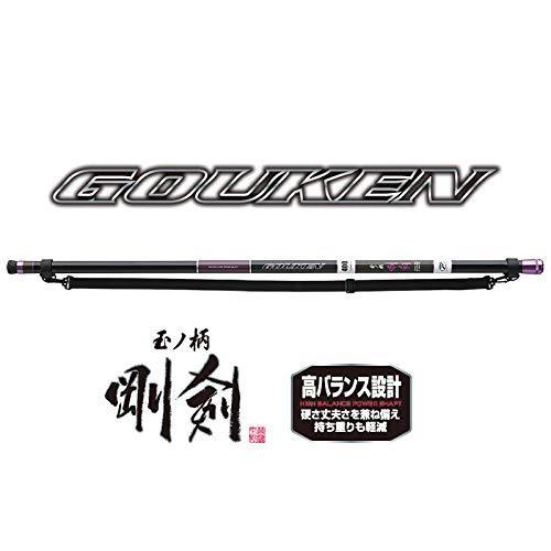 エキサイトプラスショッププロックス Prox 磯玉の柄剛剣 600 Itgk60 ふるさと割