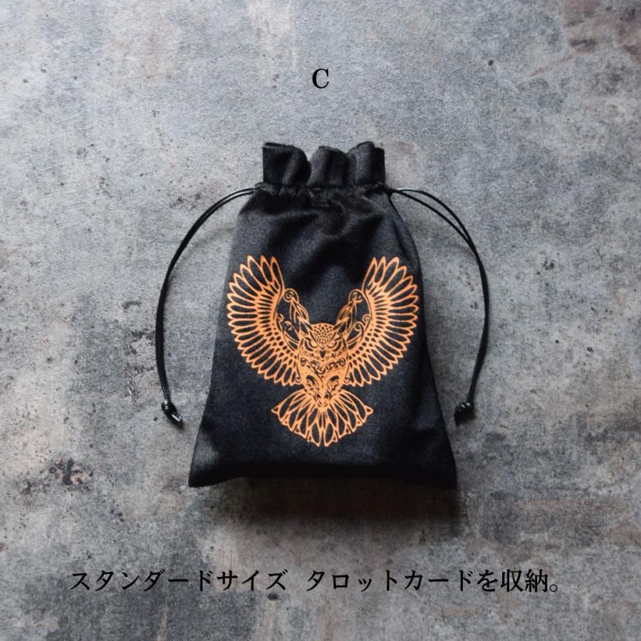 オラクル・ポーチ exciting-wizard_trtp1