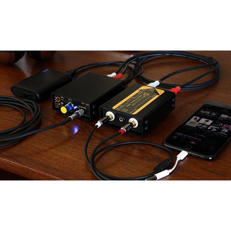 オーディオ用ノイズカットフィルター デジタルノイズ除去RFフィルター