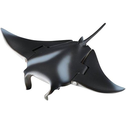 アニア およいでいいとも! ウキウキウォッチ 水族館 