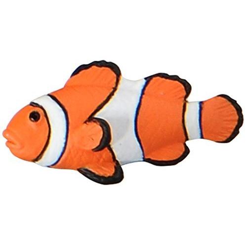 アニア およいでいいとも! ウキウキウォッチ 水族館 