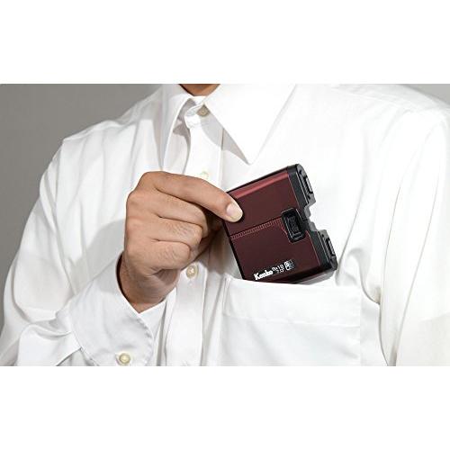 Kenko 双眼鏡 雅 8×18 フラットタイプ 8倍 口径18mm 紅殻色 065785 