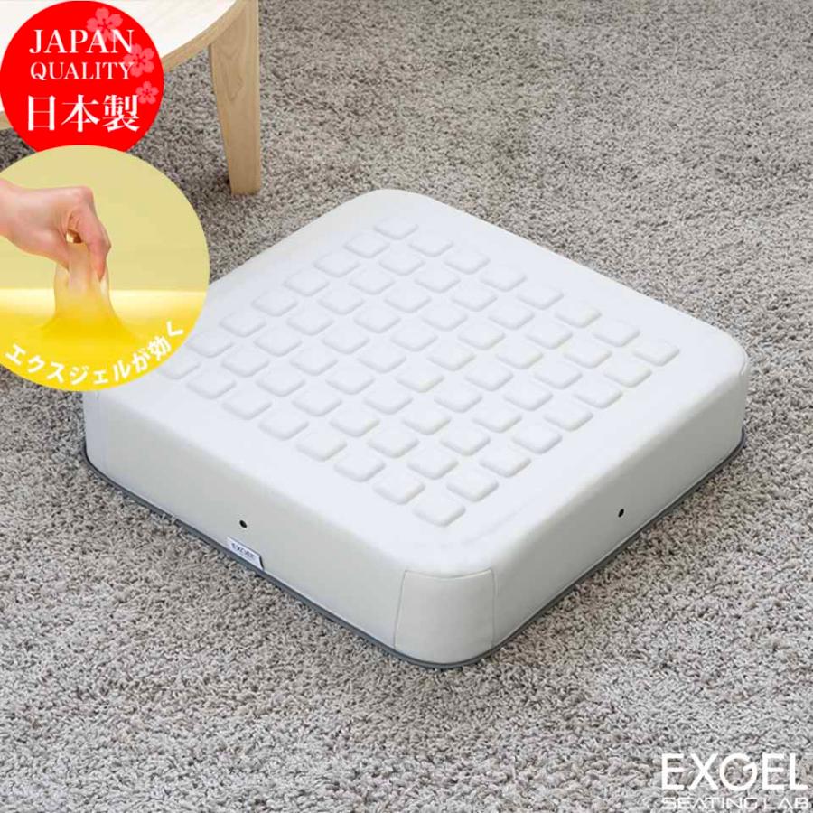 EXGEL（エクスジェル） ジェルクッション 座布団 床用 畳 和室 姿勢