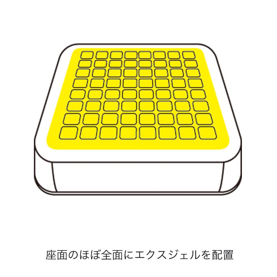 EXGEL（エクスジェル） ジェルクッション クッション 床用 畳 和室