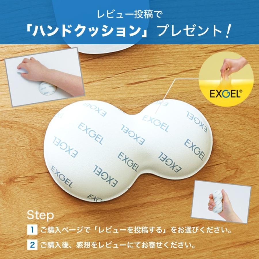 EXGEL（エクスジェル） ジェルクッション クッション 床用 畳 和室