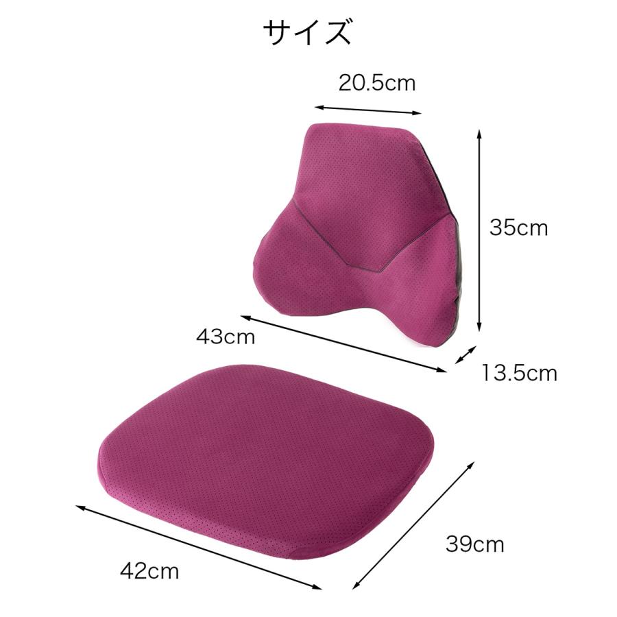 EXGEL（エクスジェル） ジェルクッション 腰痛 クッション 車 腰痛対策
