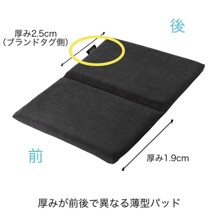 EXGEL（エクスジェル） ジェルクッション 腰痛 クッション 車 腰痛対策